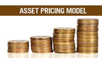 A Study on the Application of Asset Pricing Models in Global Markets